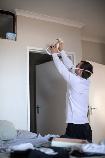 Reliable Pine Lake Park, NJ Mold Removal Solutions