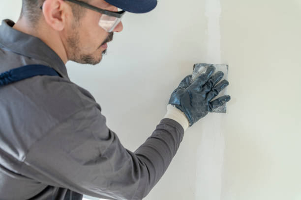 Forensic Mold Investigation in Pine Lake Park, NJ